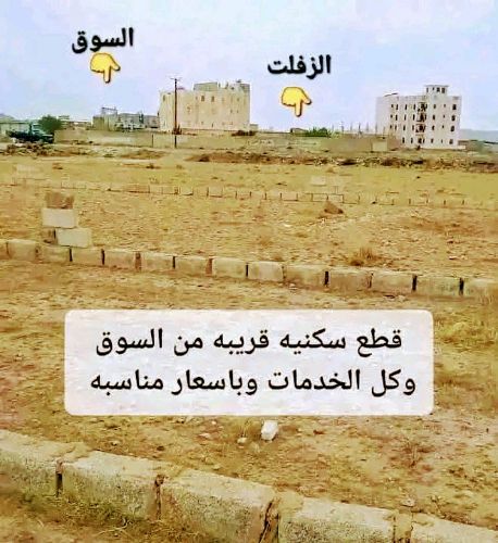 Brown and white sneaker